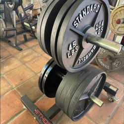 45 / 25 Lbs Weights Sold By The Pair (2)