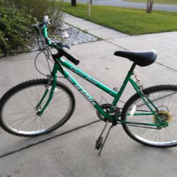 Women's 12 Speed Bike