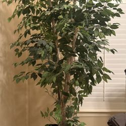 Artificial Tree 