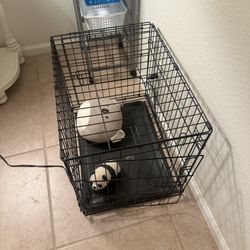 Dog Kennel 