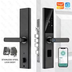 Security Door Handle 