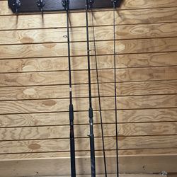 Fishing Pole