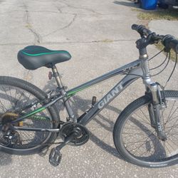 Giant XTC JR Bike Bicycle 24" Tires Small Frame - $60 FIRM 
