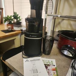 Aobosi Slow Juicer
