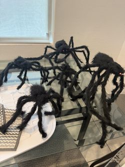Halloween Spiders