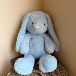 Huggable Bunny Plushy 