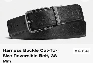 Coach belt