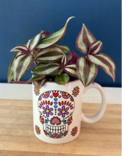 Tradescantia Zebrina Plant in Sugar Skull Mug