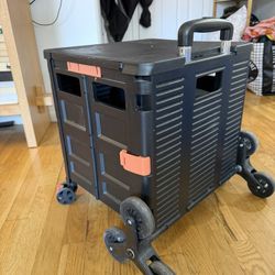 Grocery/Storage Box