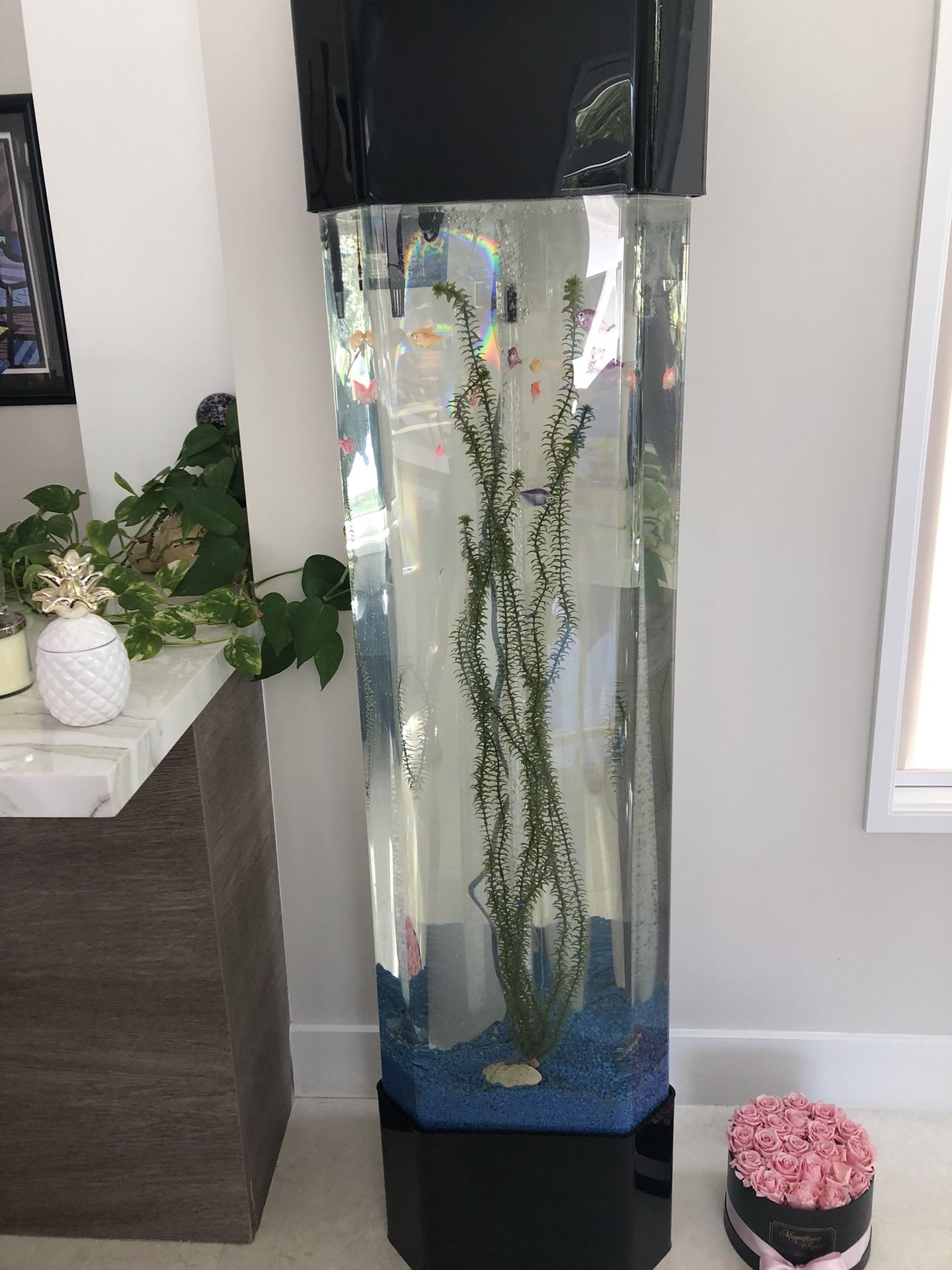 Tall Tower Pentagon Aquarium  30 Gallons