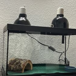 10 Gallon Tank 