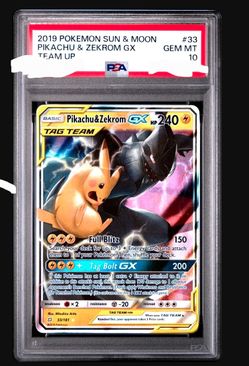 Pokemon Pikachu&zekrom psa 10