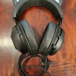 Razor Kraken Kitty V2 Chroma Usb Gaming Headset