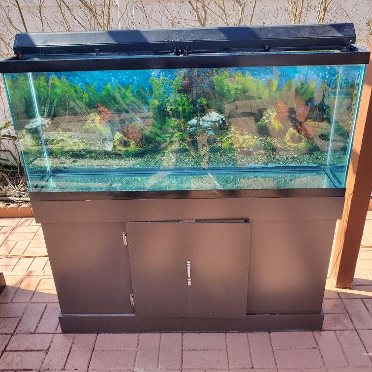55 Gallon Fish Tank, With Stand And Light