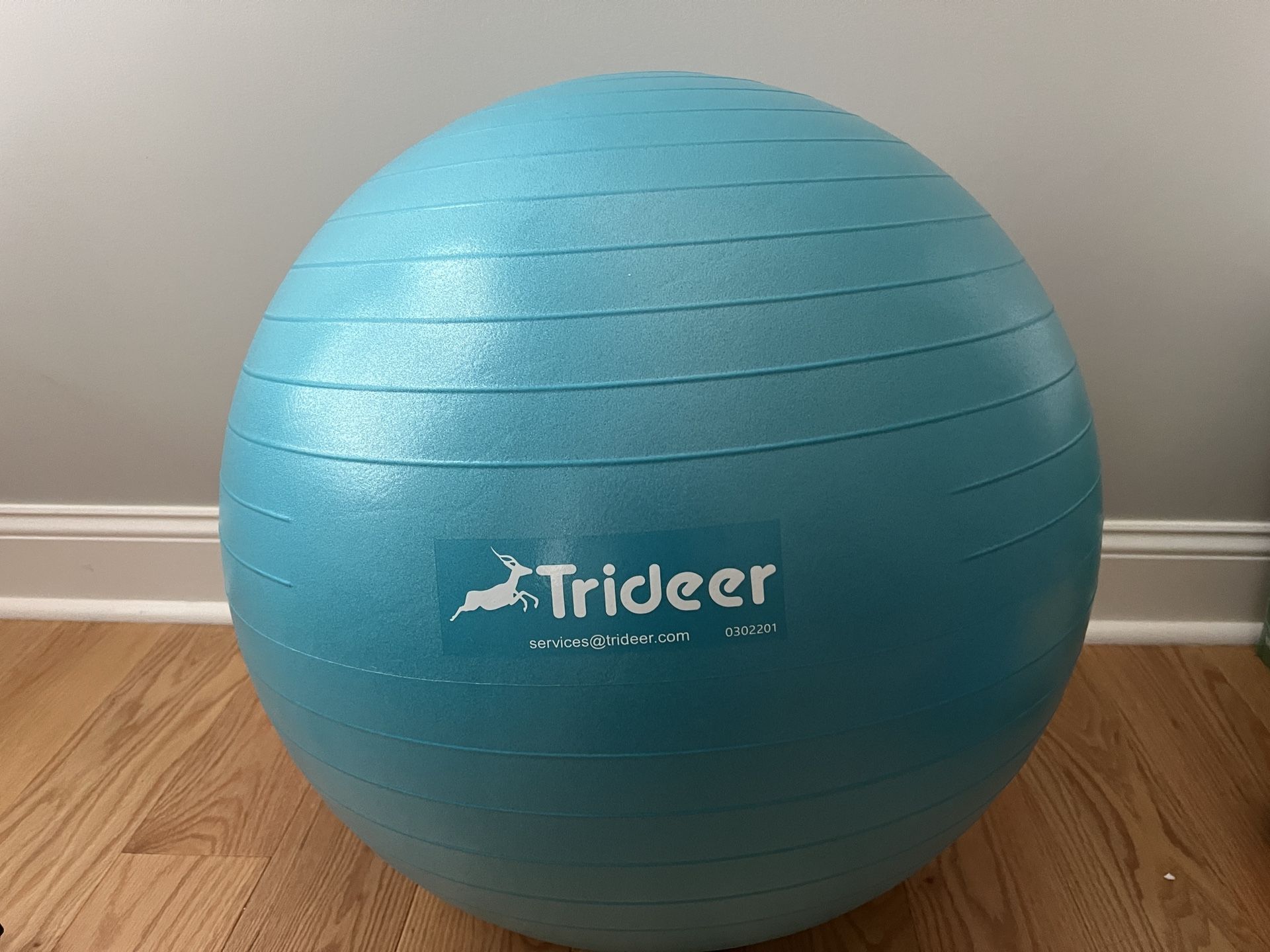 Trideer Yoga Ball