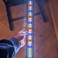 Finnex Stingray Light 20 Inch