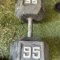 95 Lbs Dumbbells