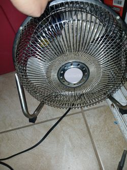 Fan