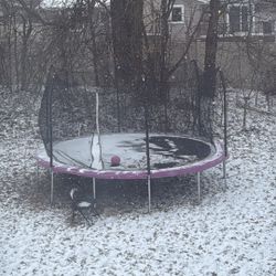 Trampoline 