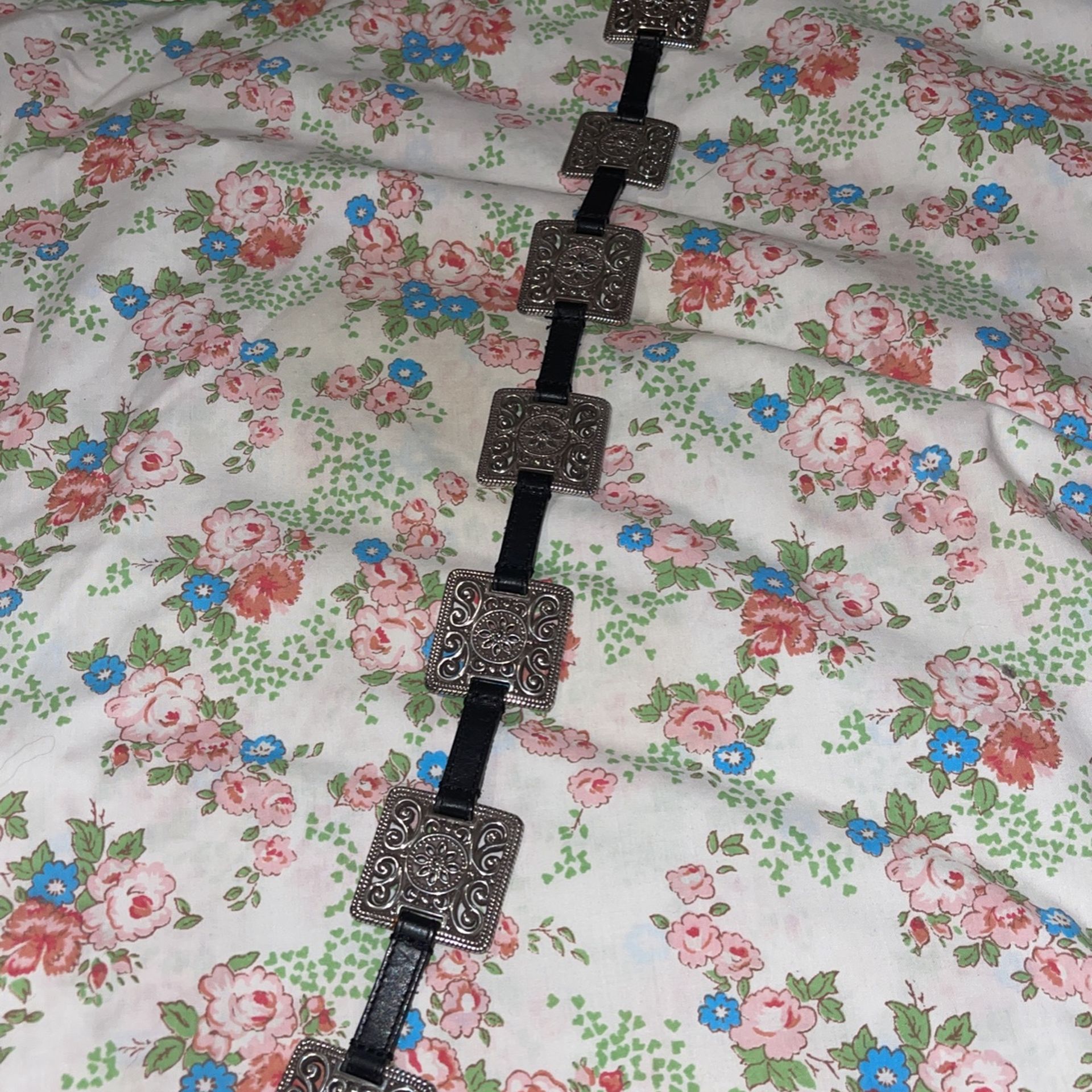 Black Belt With Silver Belt