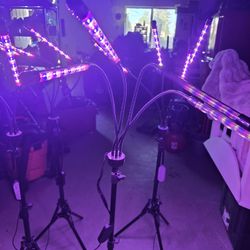 LED Grow Lights