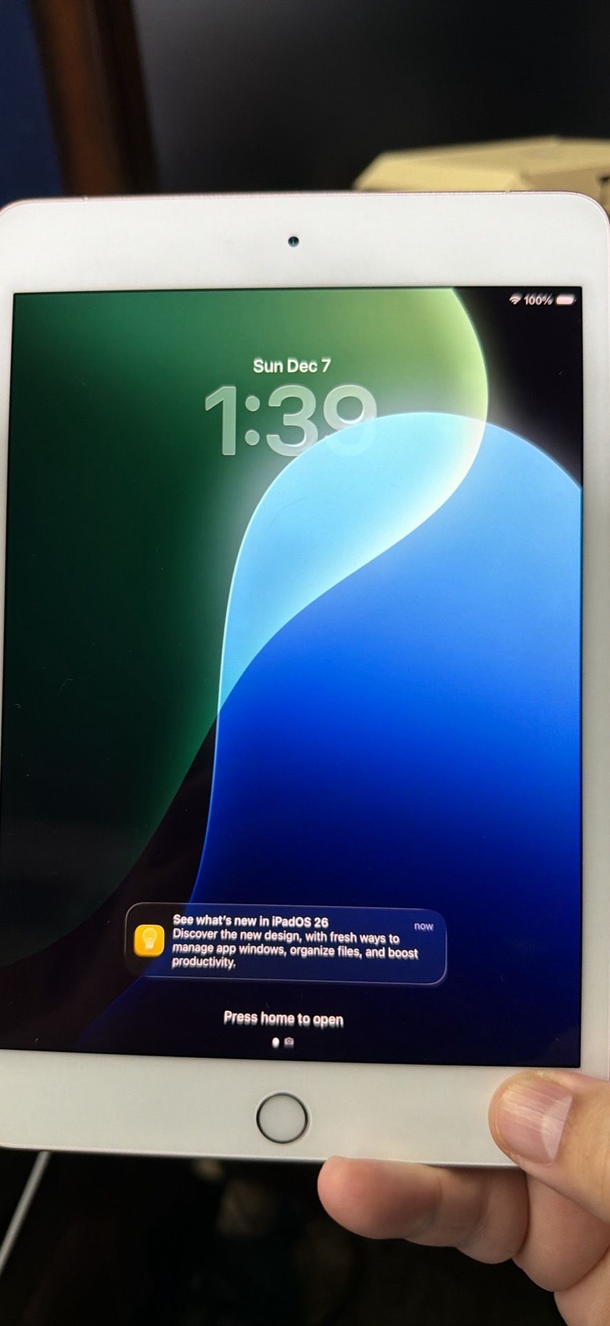 iPad Mini 5th Gen 256GB