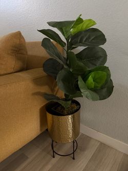 Artificial Fiddle Leaf Fig Tree with Gold Planter
