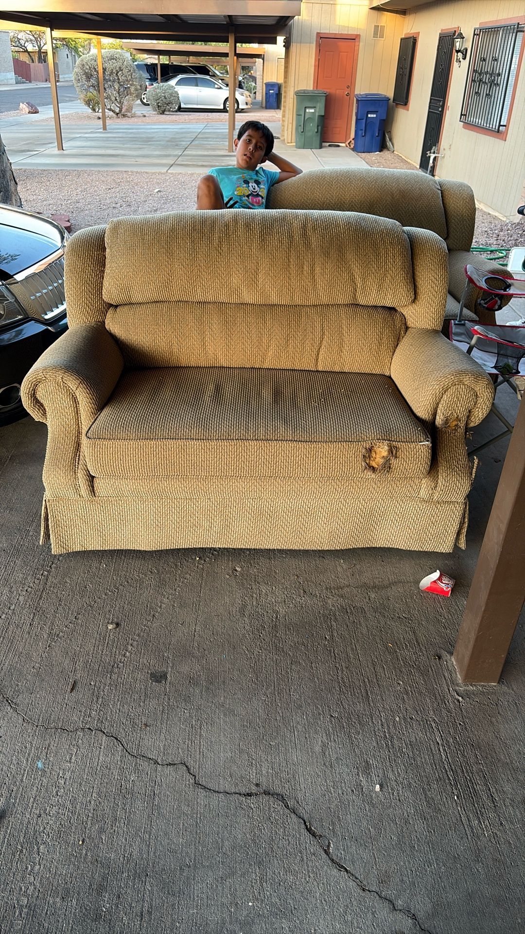 2 Twin Size Pull Out Bed Sofas