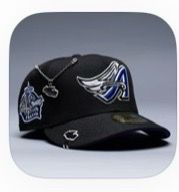 Fitted Hat