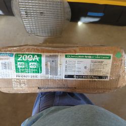 Siemans  200 Amp panel