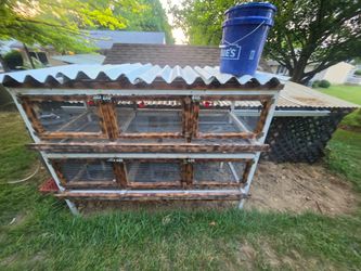 Quail cage