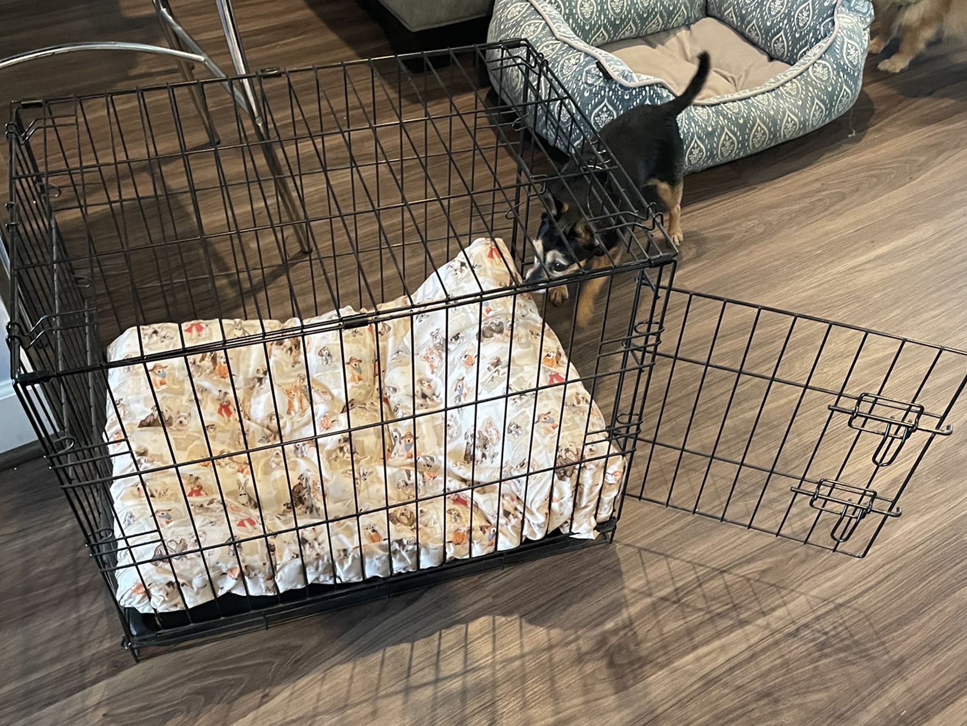 Pet Crate For Small Dog