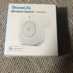 GoveeLife Wireless, which one Buttan