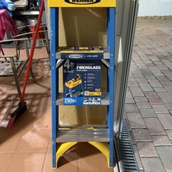 4ft Ladder Werner