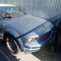 2005 For Mustang Parting 