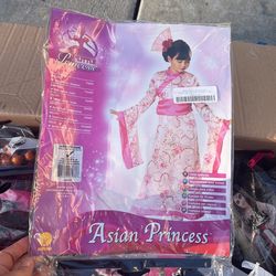 Princess costume 12/14 Years Old