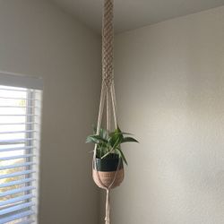 Macrame Plant Hanger