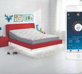 Sleep number k2 model bed