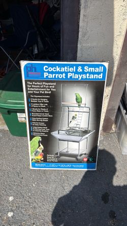 Parrot / bird stand