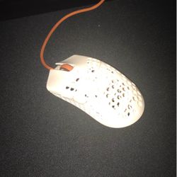 final mouse capetown