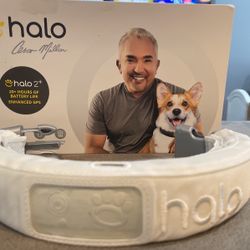 Halo 2+ Dog Invisible Fence Collar (Free Shipping)