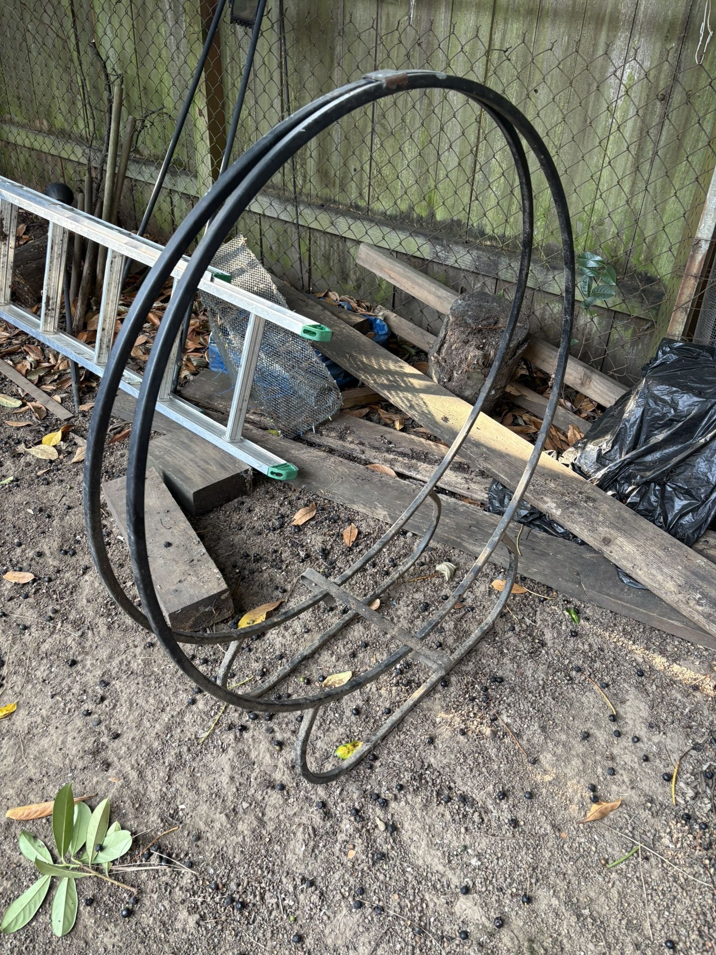 Log Hoop 