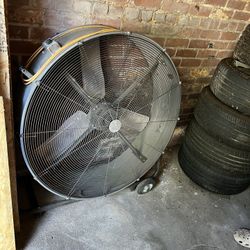 Emptying Out My Storage 