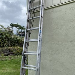 20 Foot Ladder Must Go !