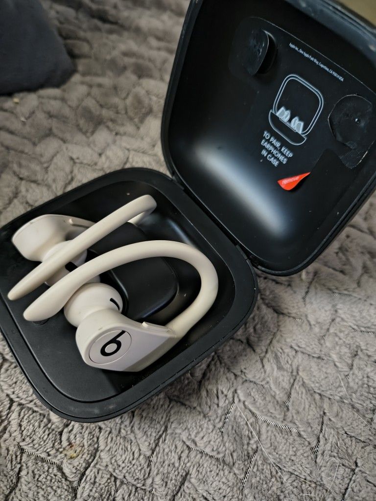 Beats Pro Earbuds