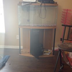 Fish tank 