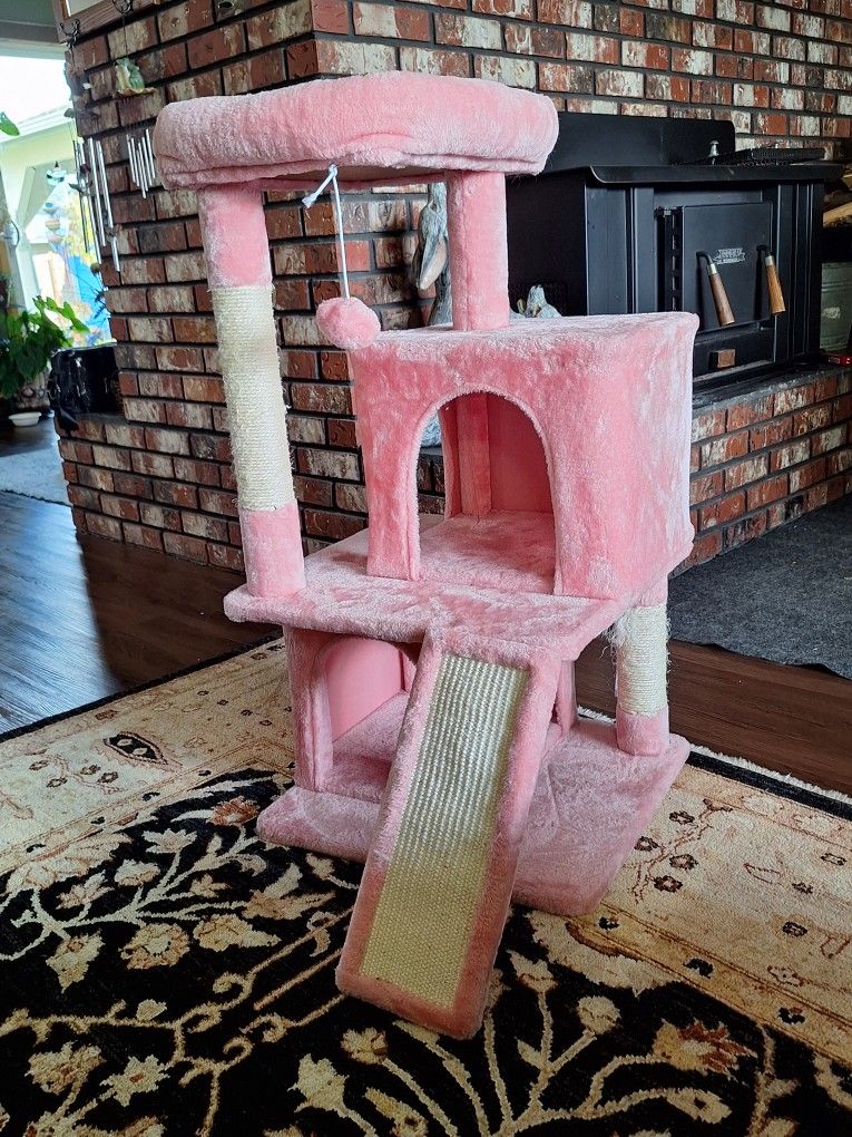 Cat Tree, Condo