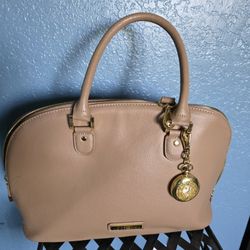 Tan Purse