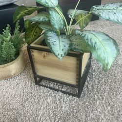 Modern Faux Plant Décor Set – Wood & Metal Planters