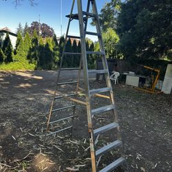 Aluminum Ladder